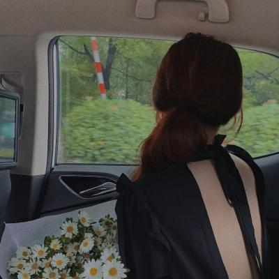 傲骨贤妻第五季